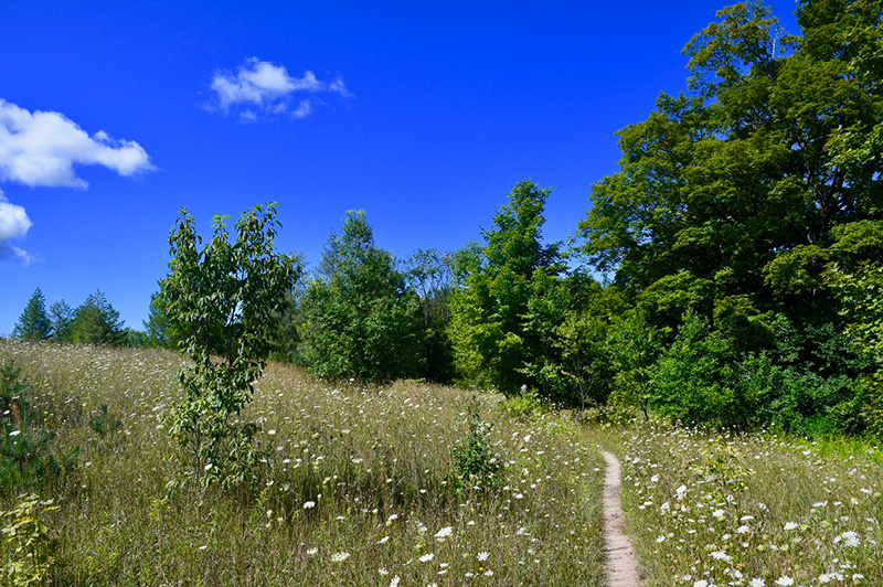 Arcadia Dunes Dry Hill Trail